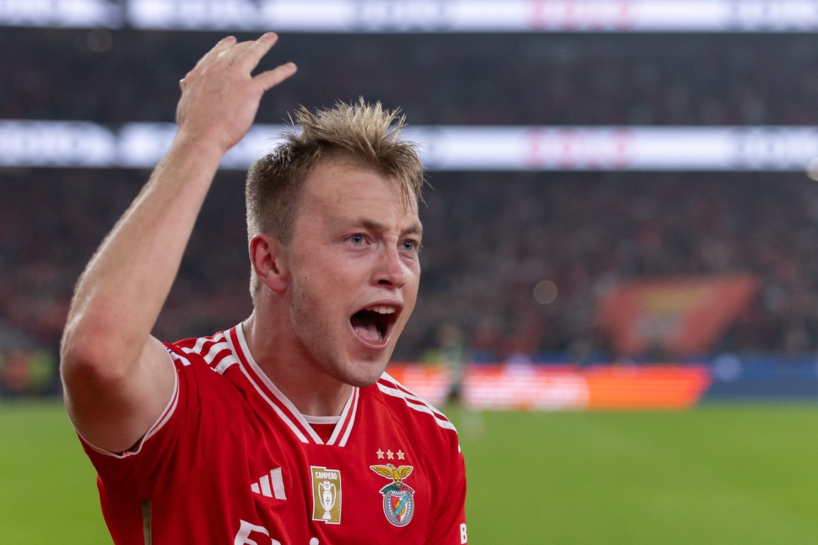 Feyenoord neemt Tengstedt over van Benfica