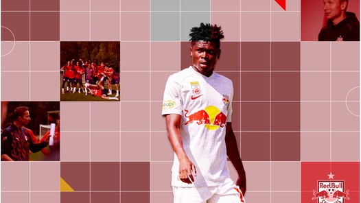 Dit kan FC Twente verwachten van Red Bull Salzburg