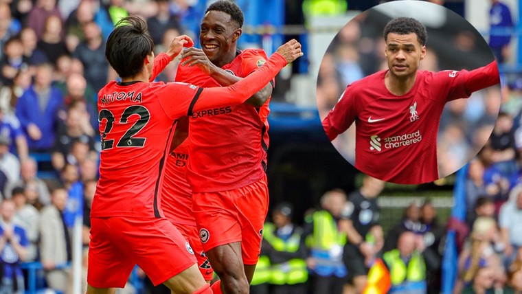 Brighton-fans omarmen Gakpo na verwarrend moment op Stamford Bridge
