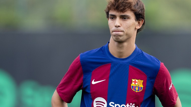 'Dit miljoenenbedrag levert João Félix in om voor Barça te spelen'