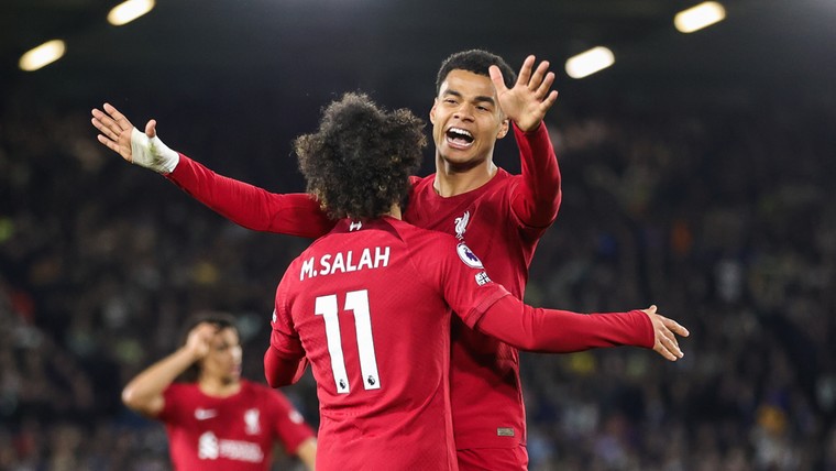 Salah blijft maar scoren op Anfield, Brighton verslikt zich in promovendus