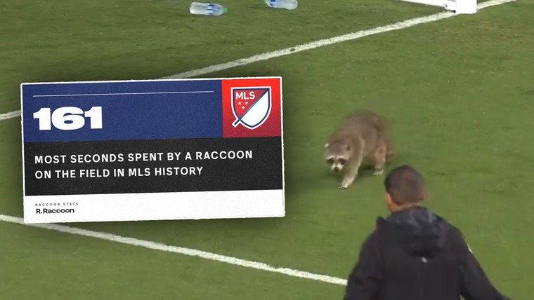 Wasbeer breekt record in de MLS