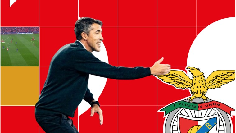 Dit kan Feyenoord verwachten van Benfica