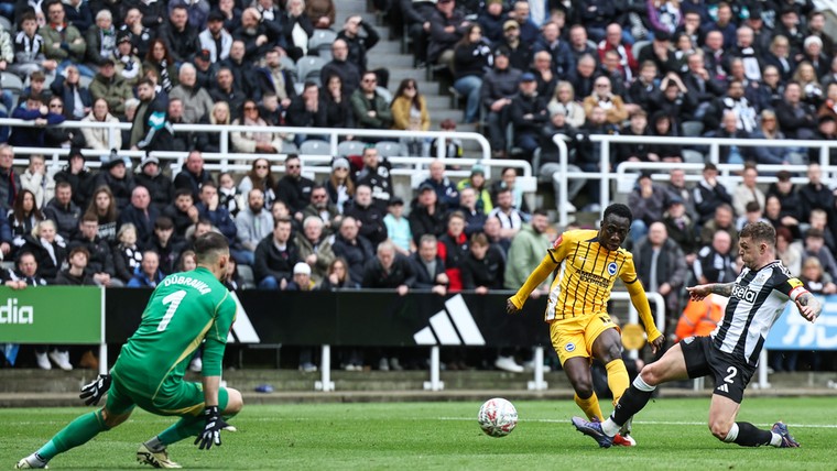 Brighton schakelt Newcastle uit met Minteh en Van Hecke als hoofdrolspelers