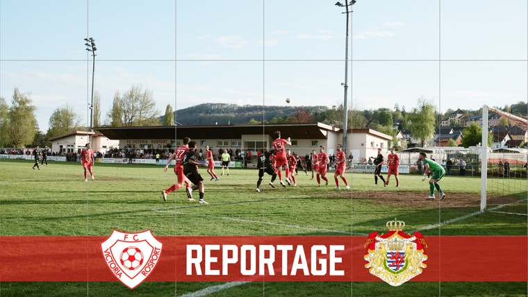 Kampioenskoorts op de camping: 'Soms sneuvelt er een raam'